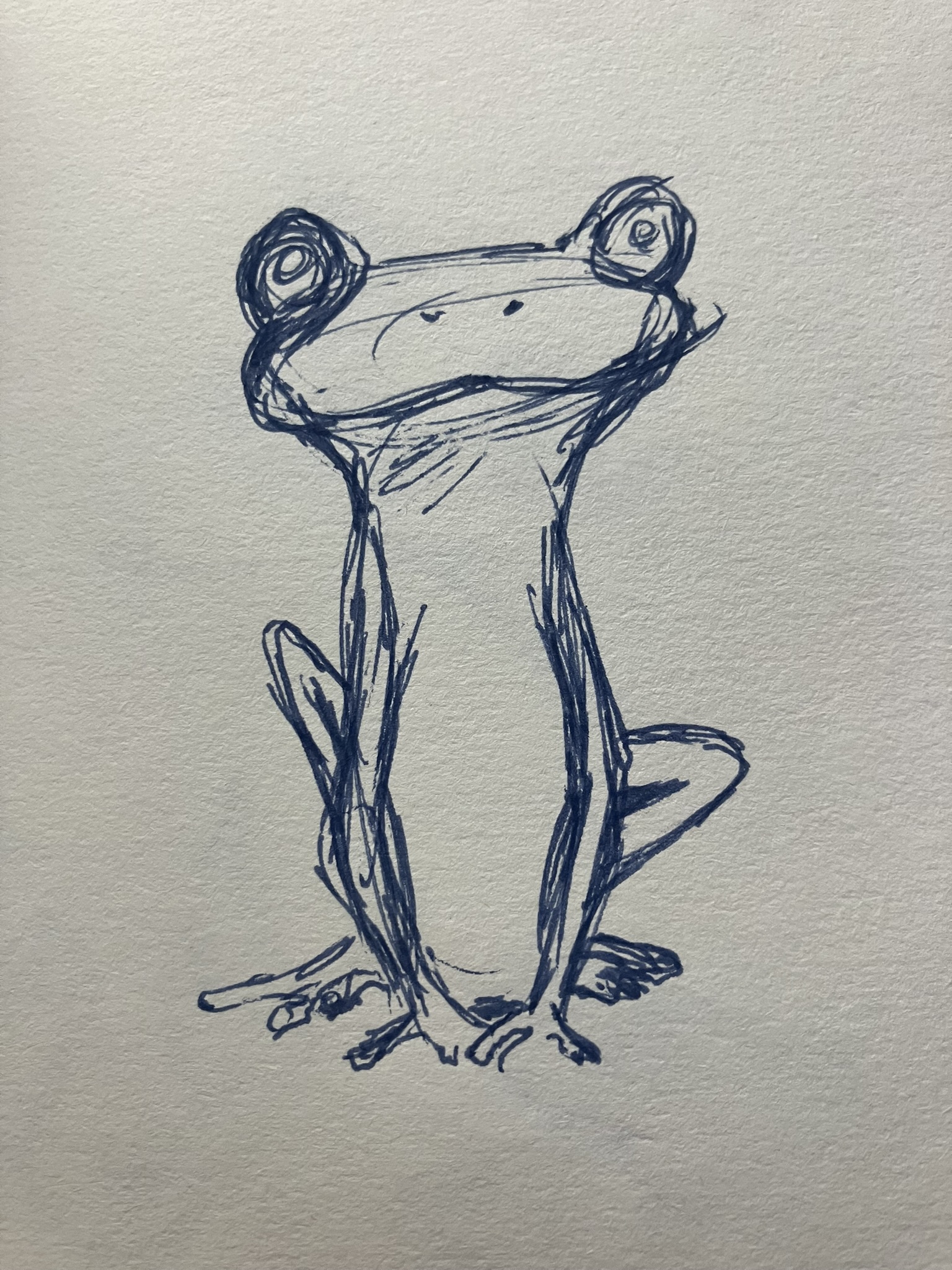 Your writer as a frog