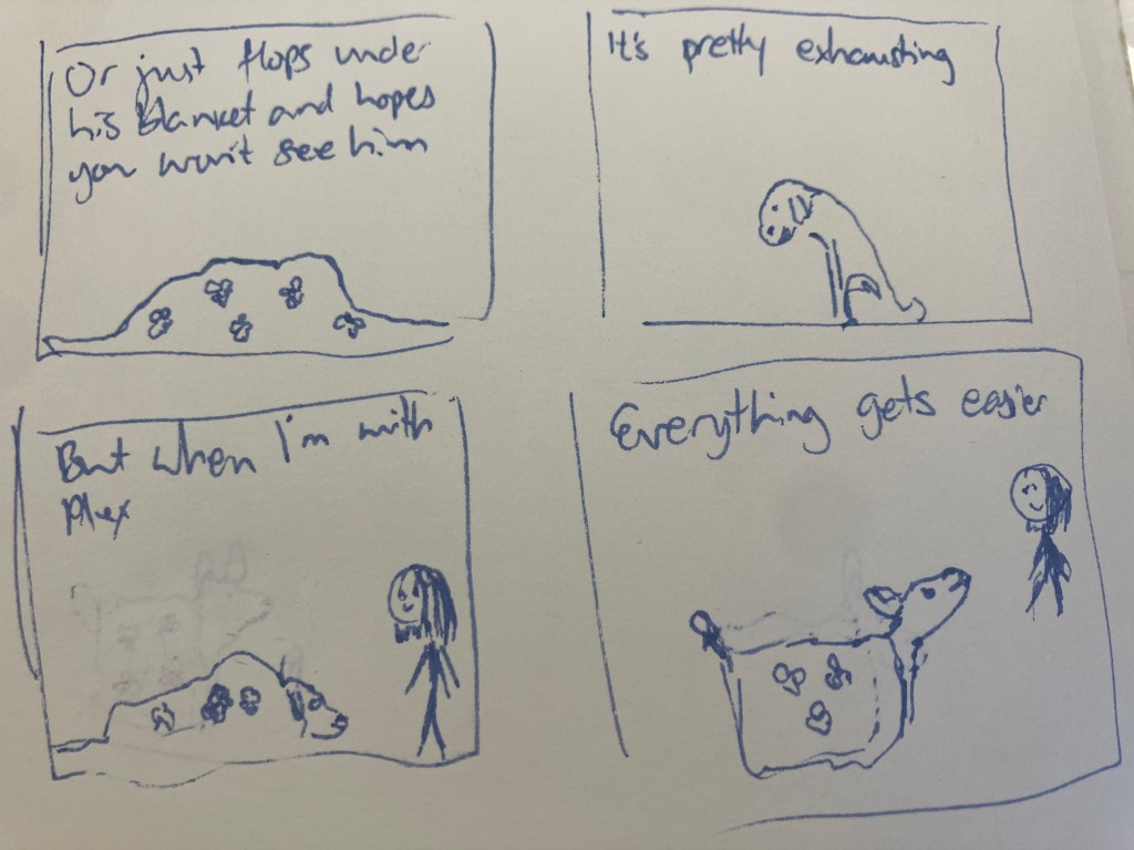 Or just flops under his blanket and hopes you won't see him.
It's pretty exhausting. 
But when I'm with Alex,
everything gets easier